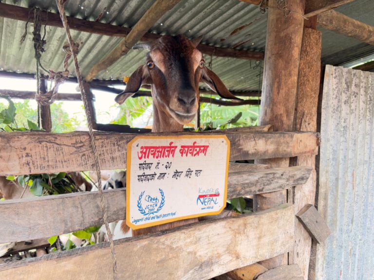 27a29ba8-59dc-486e-9c62-a1f8d2e78427