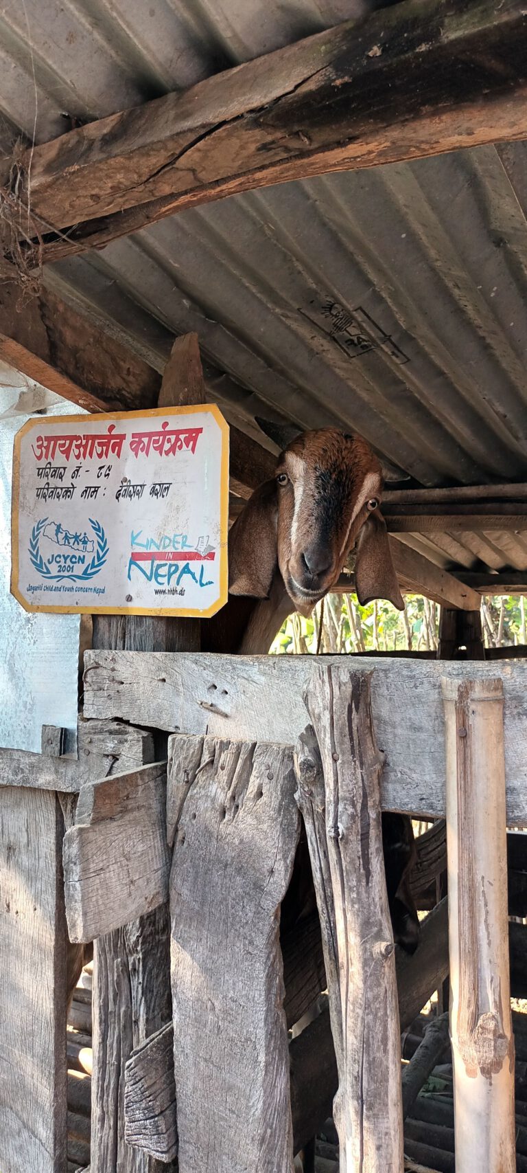 303_20221103_091808(1)