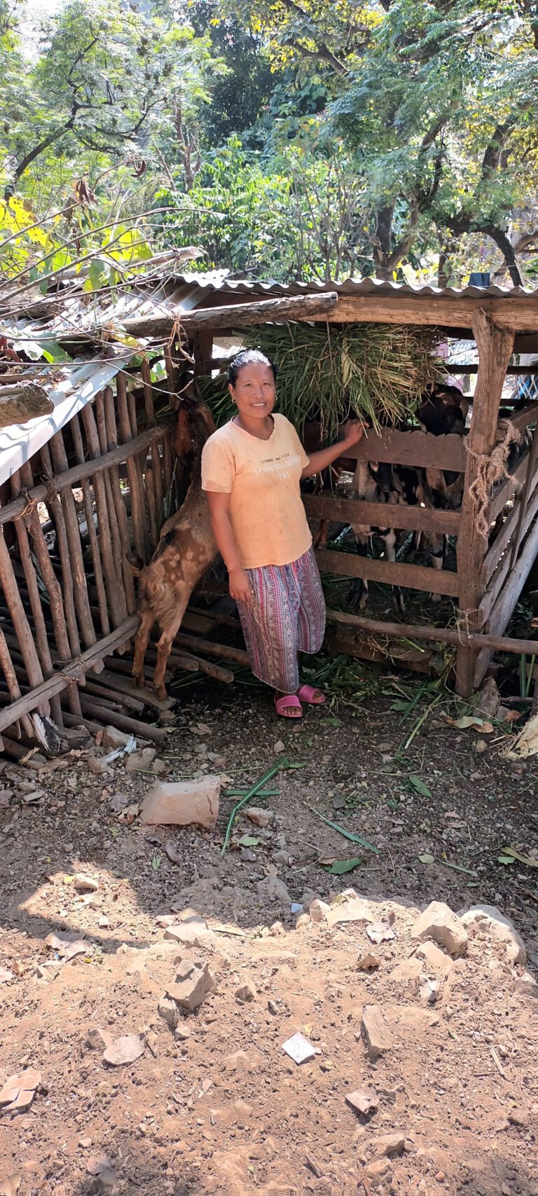 304_20221103_09330409(1)