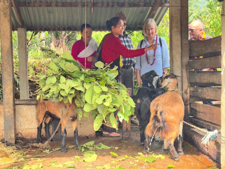 9179a977-e810-48ad-a511-7322c2eca0d6